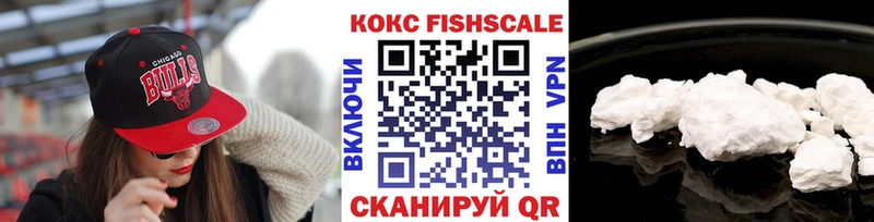 Купить закладки  Порхов  COCAIN FishScale 